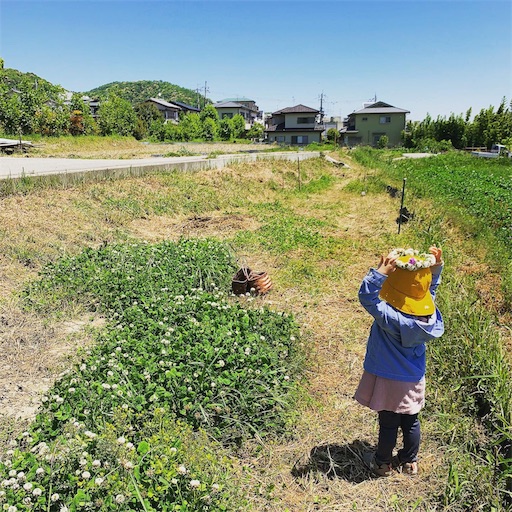 f:id:nntokk:20190514184620j:image