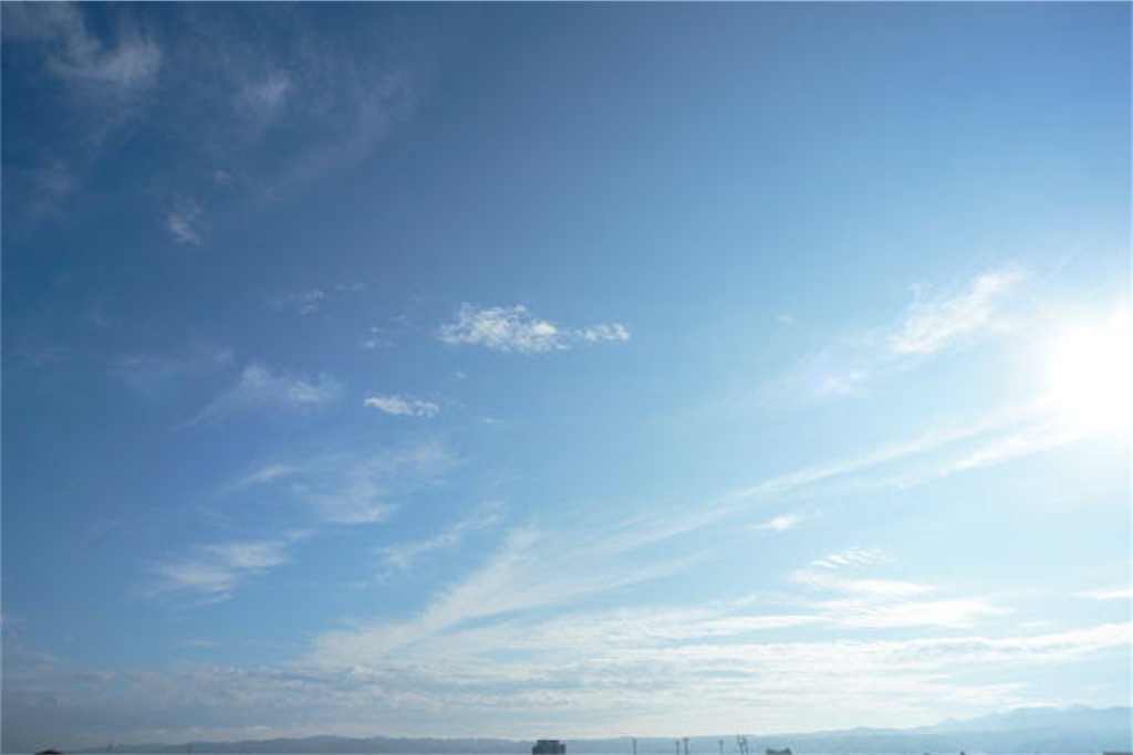 f:id:nnyu:20231210061306j:image f:id:nnyu:20231210061306j:image