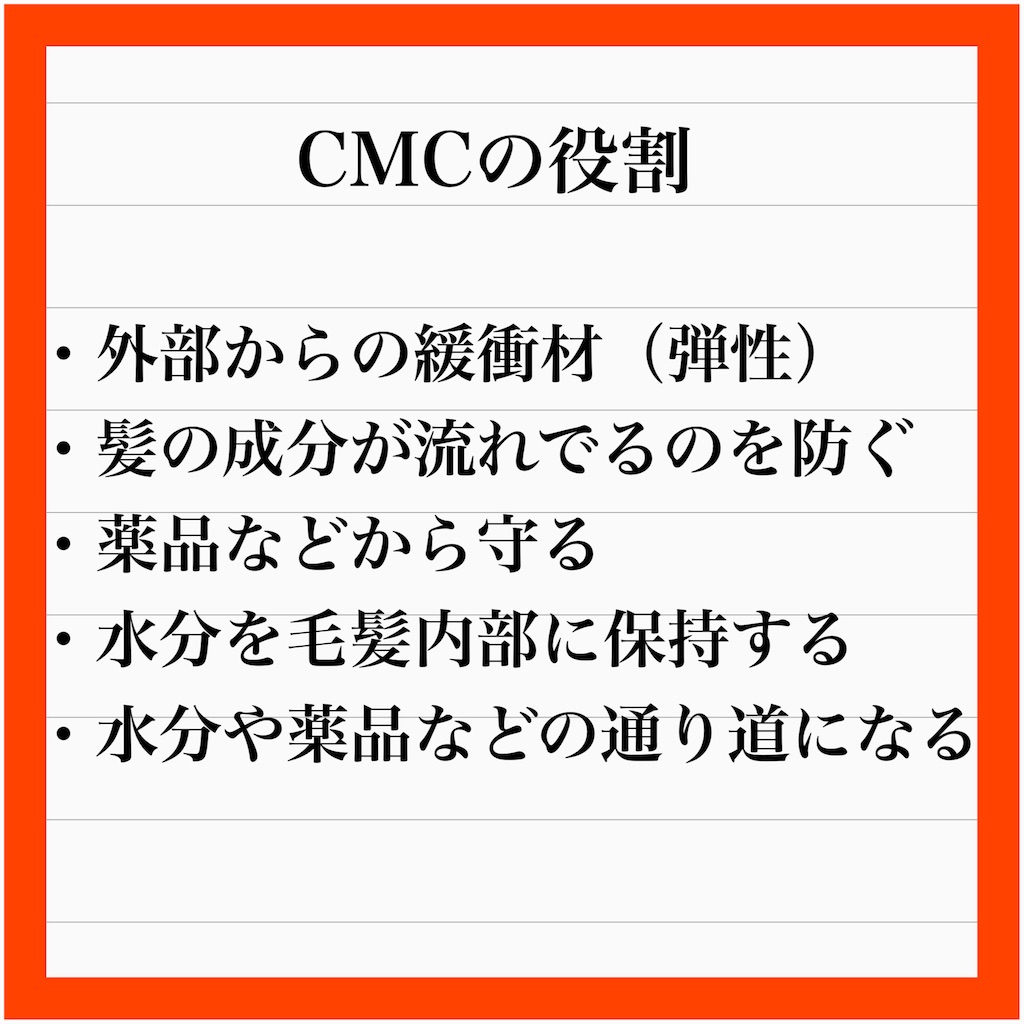 f:id:nnyu:20231212021522j:image f:id:nnyu:20231212021522j:image