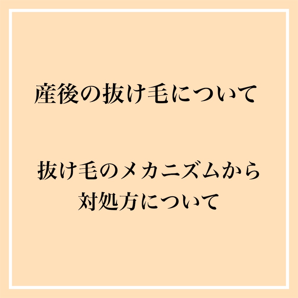 f:id:nnyu:20231213052642j:image f:id:nnyu:20231213052642j:image