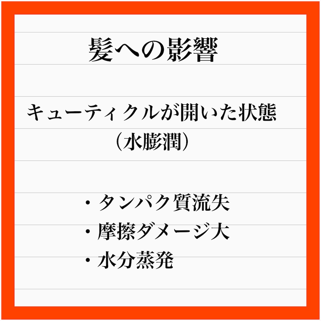 f:id:nnyu:20231216011751j:image f:id:nnyu:20231216011751j:image