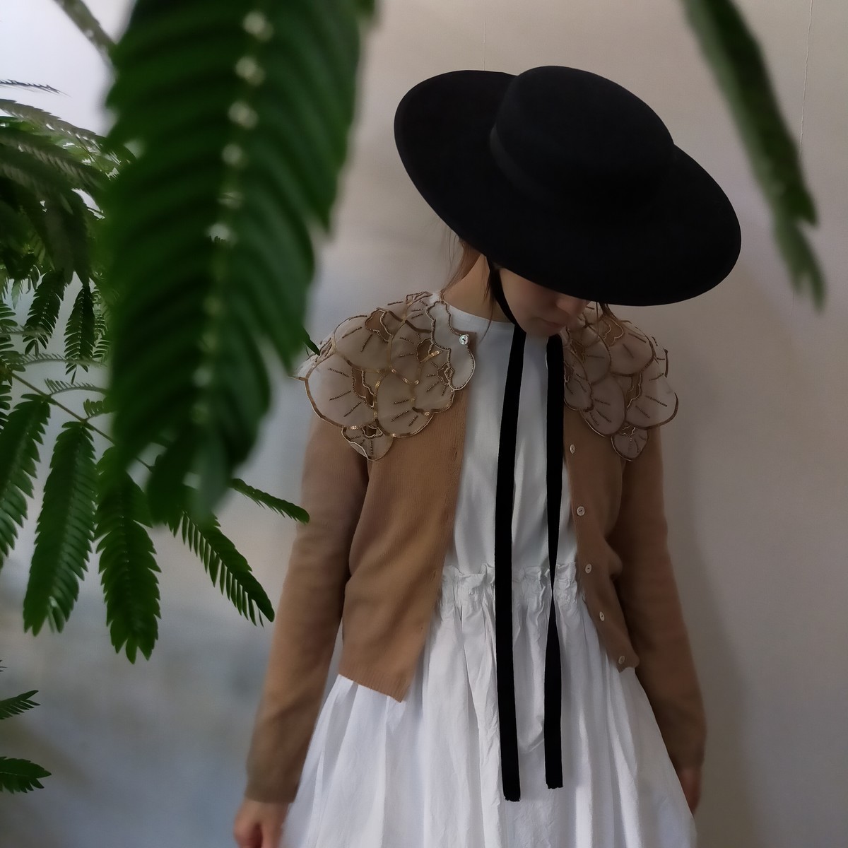 TOWAVASE 2022ss Collection ご予約会 - NO CONCEPT SHOP & DressBird