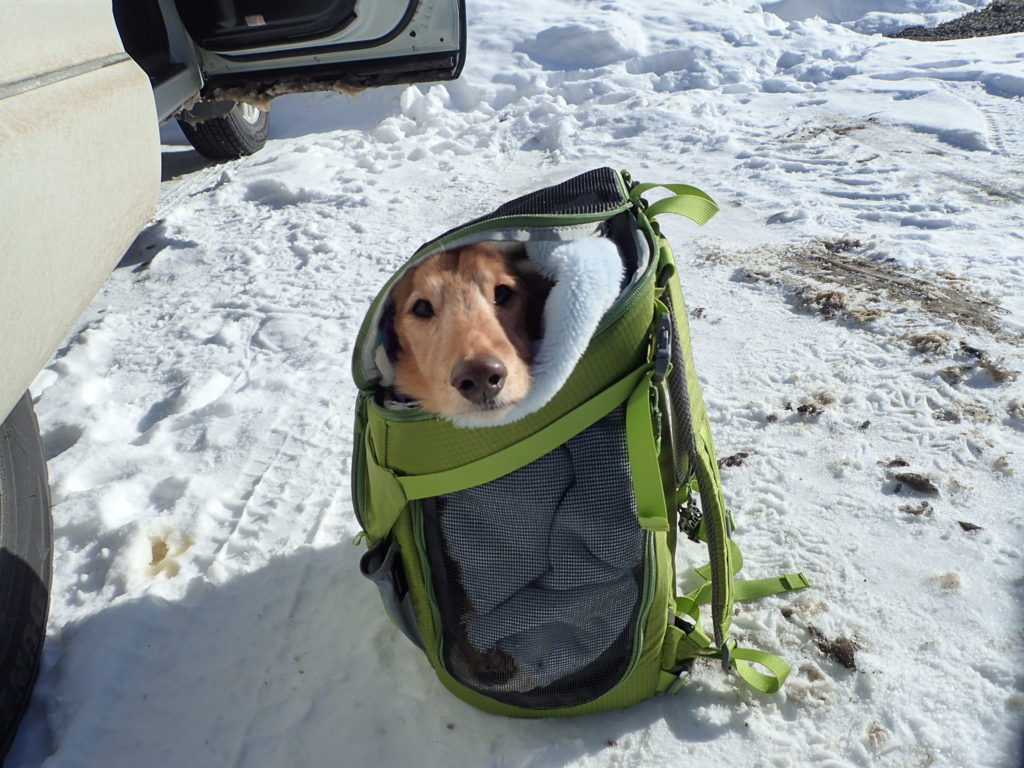 f:id:no-self-enlightenment:20170119101655j:plain