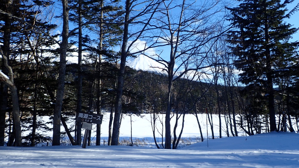 f:id:no-self-enlightenment:20170120164004j:plain