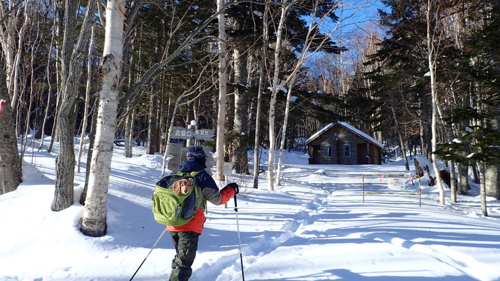 f:id:no-self-enlightenment:20170120164329j:plain