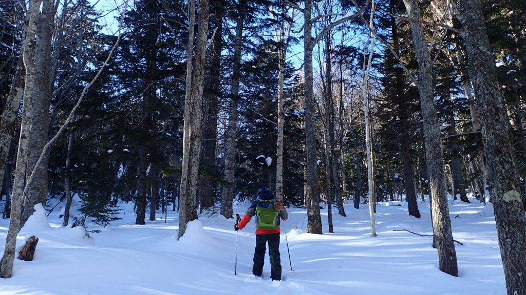 f:id:no-self-enlightenment:20170120164427j:plain