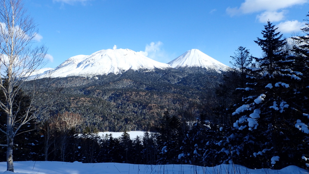 f:id:no-self-enlightenment:20170120165444j:plain