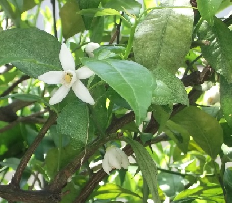 f:id:no-tenki8eh:20190503202455j:plain