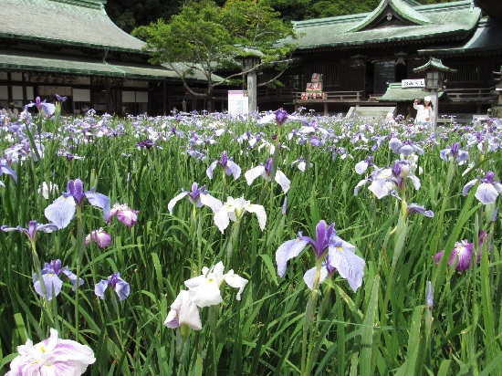 f:id:no-tenki8eh:20190628164609j:plain f:id:no-tenki8eh:20190628164609j:plain
