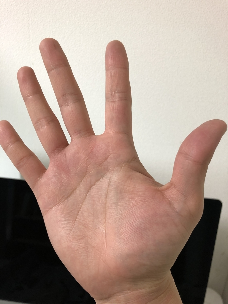 Hbada ハイバックオフィスチェアを買ったら組み立てがすげー大変だったけど座り心地がいい感じ!