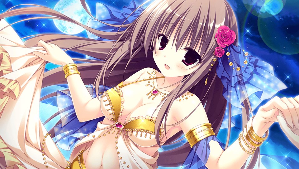 f:id:no1234shame567:20170120021747j:plain