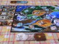 ボードゲーム『スモールワールド』