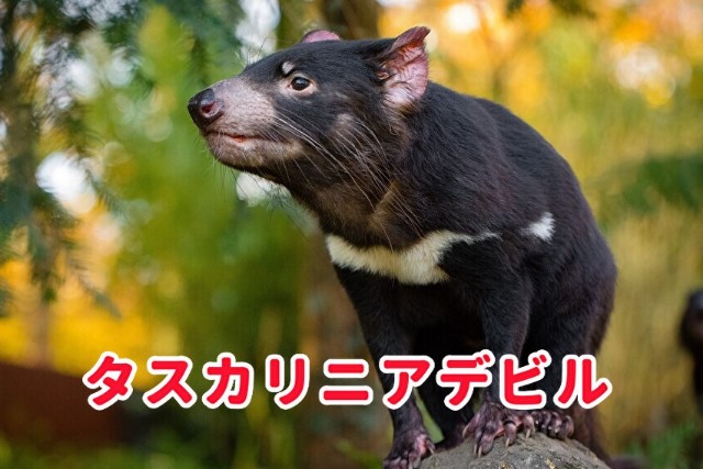 f:id:no8where:20230821014316j:image