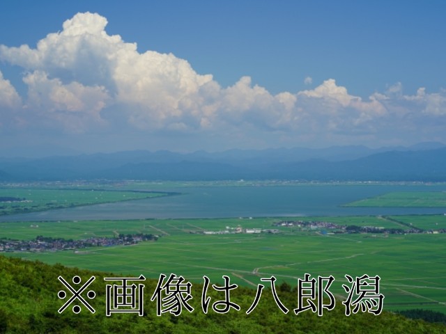 f:id:no8where:20230826184349j:image