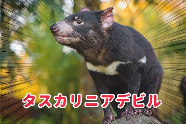 f:id:no8where:20230826201643j:image