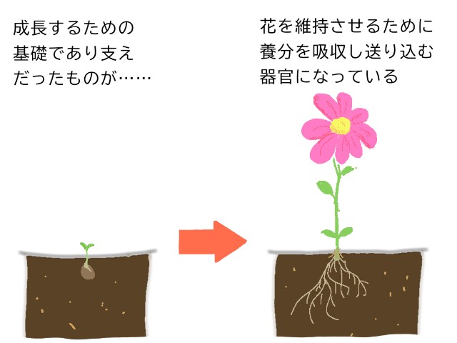 f:id:no8where:20230828014758j:image