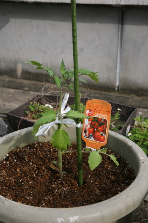 f:id:no_bo:20100504153730j:image:h250