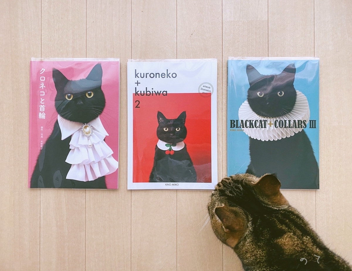 もはやアートな「クロネコと首輪」 - LOVE LETTER