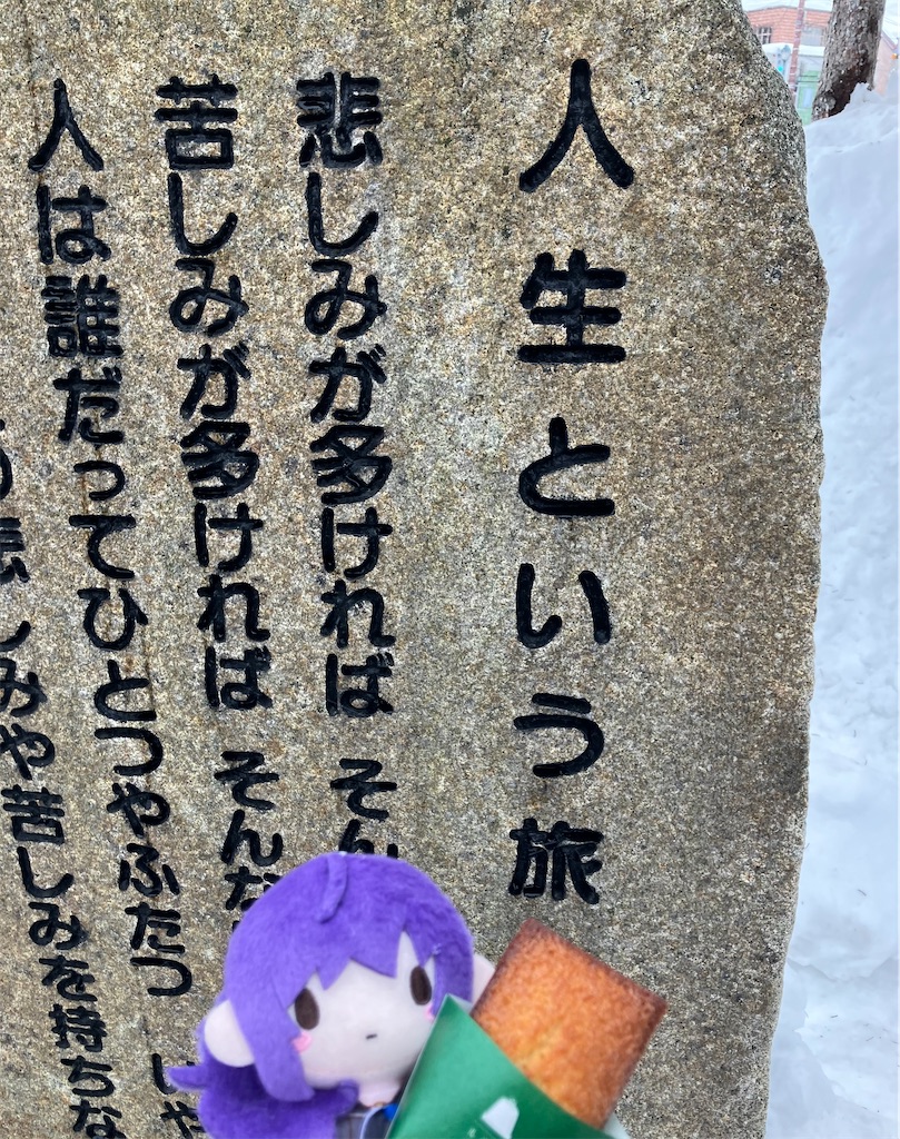 f:id:no_ya_ki:20250206104754j:image