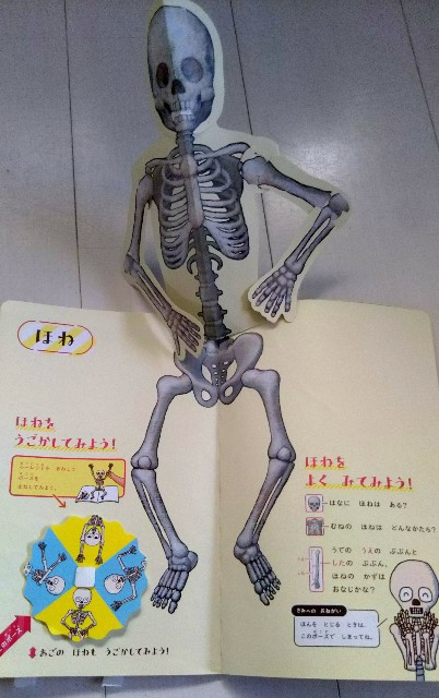 f:id:noa-no-himitsukichi:20171226192633j:image f:id:noa-no-himitsukichi:20171226192633j:image