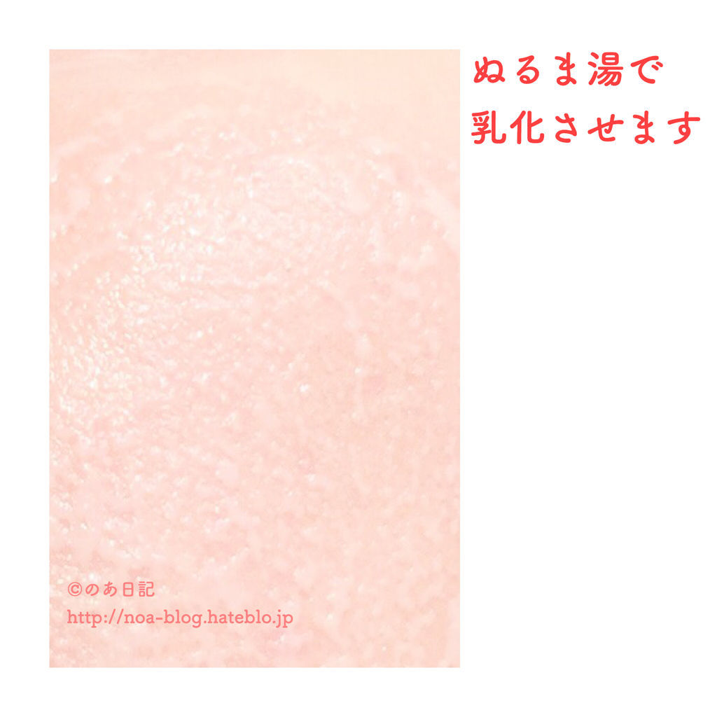 f:id:noa_blog:20190130210849j:plain