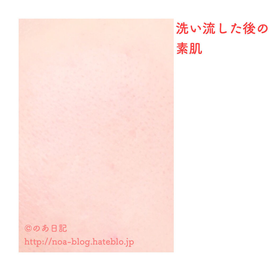 f:id:noa_blog:20190130210915j:plain