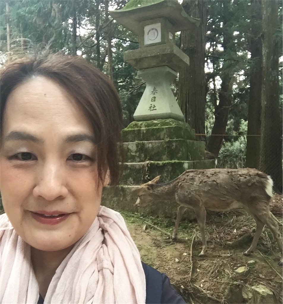 f:id:noacocomiruku-3:20170406212744j:image f:id:noacocomiruku-3:20170406212744j:image