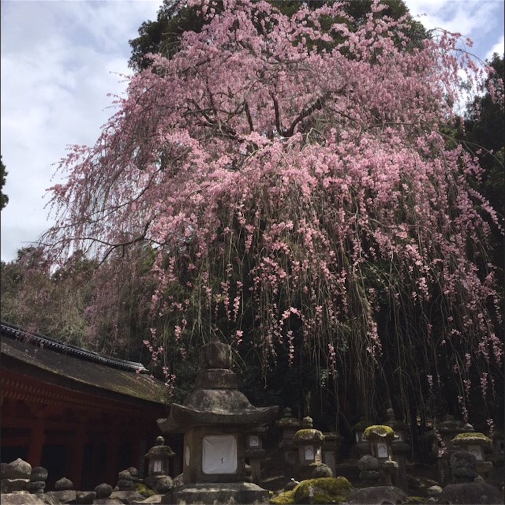 f:id:noacocomiruku-3:20170406212927j:image f:id:noacocomiruku-3:20170406212927j:image
