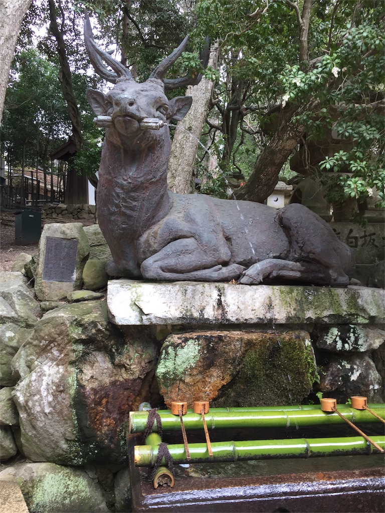 f:id:noacocomiruku-3:20170407114912j:image f:id:noacocomiruku-3:20170407114912j:image