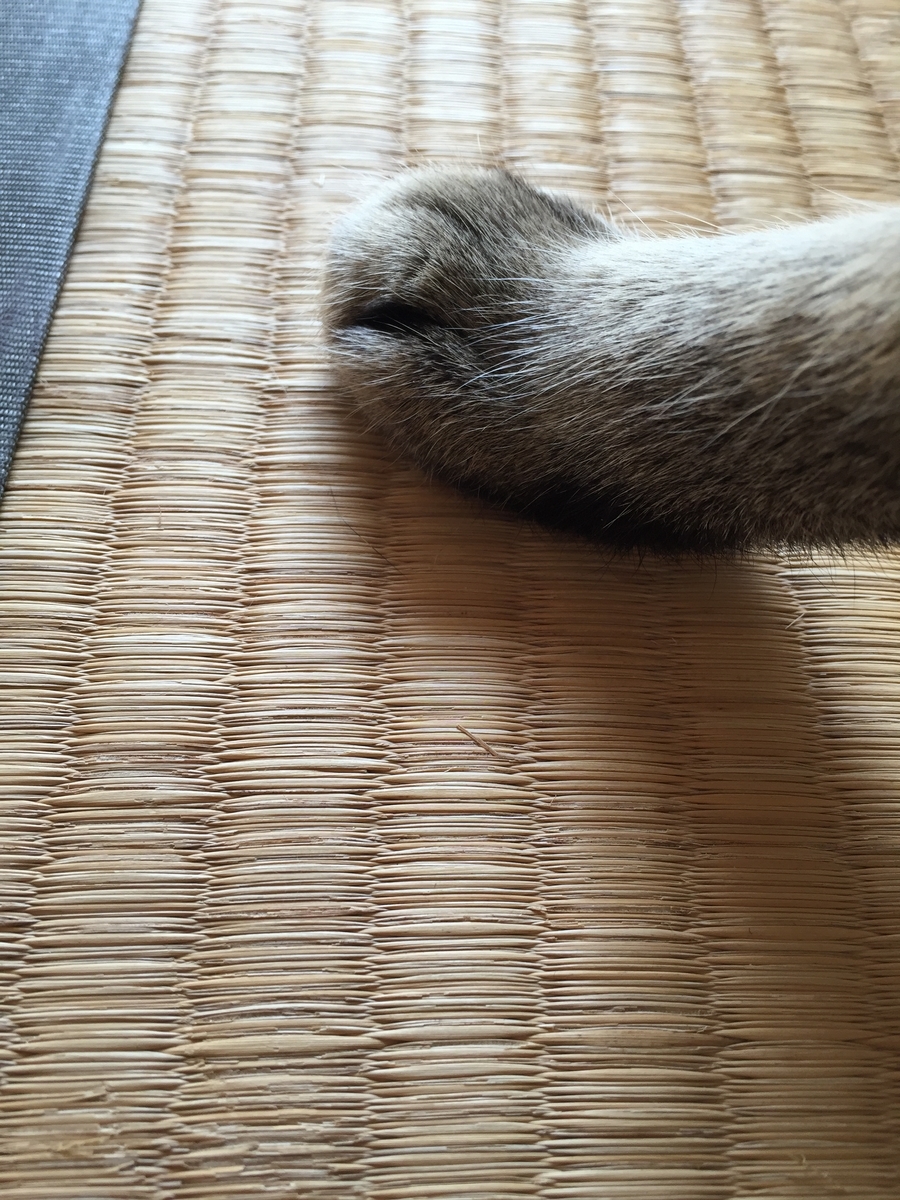 f:id:noadesu:20160818145604j:plain