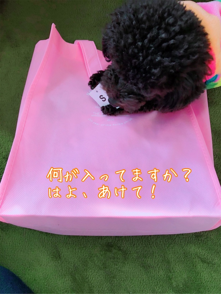 f:id:noadiary:20200103135433j:image f:id:noadiary:20200103135433j:image