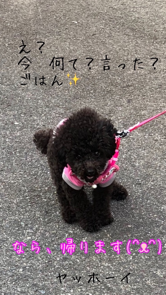 f:id:noadiary:20200502121524j:image f:id:noadiary:20200502121524j:image