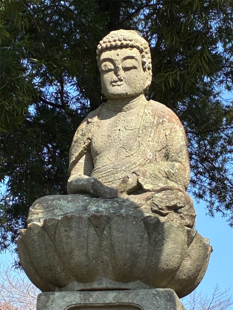 f:id:noaema1963:20260219220344j:image f:id:noaema1963:20260219220344j:image