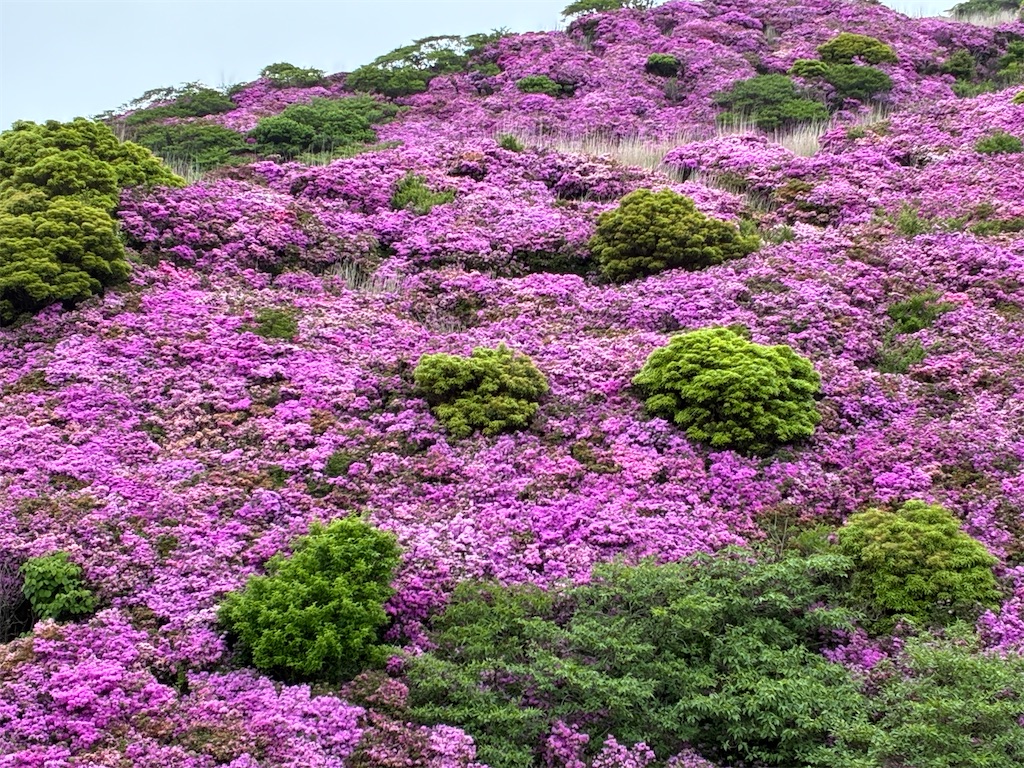 f:id:noaema1963:20260524154440j:image