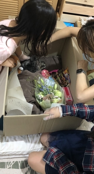 f:id:noahnoka-chan:20210912161602j:plain