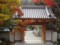 20121110 昼練：法泉寺　紅葉