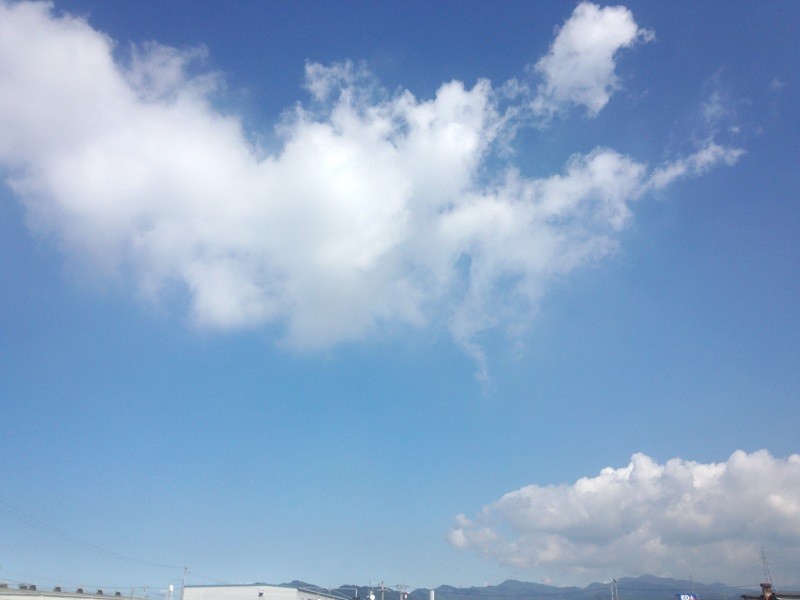 f:id:noahs-ark2037:20131021122511j:image