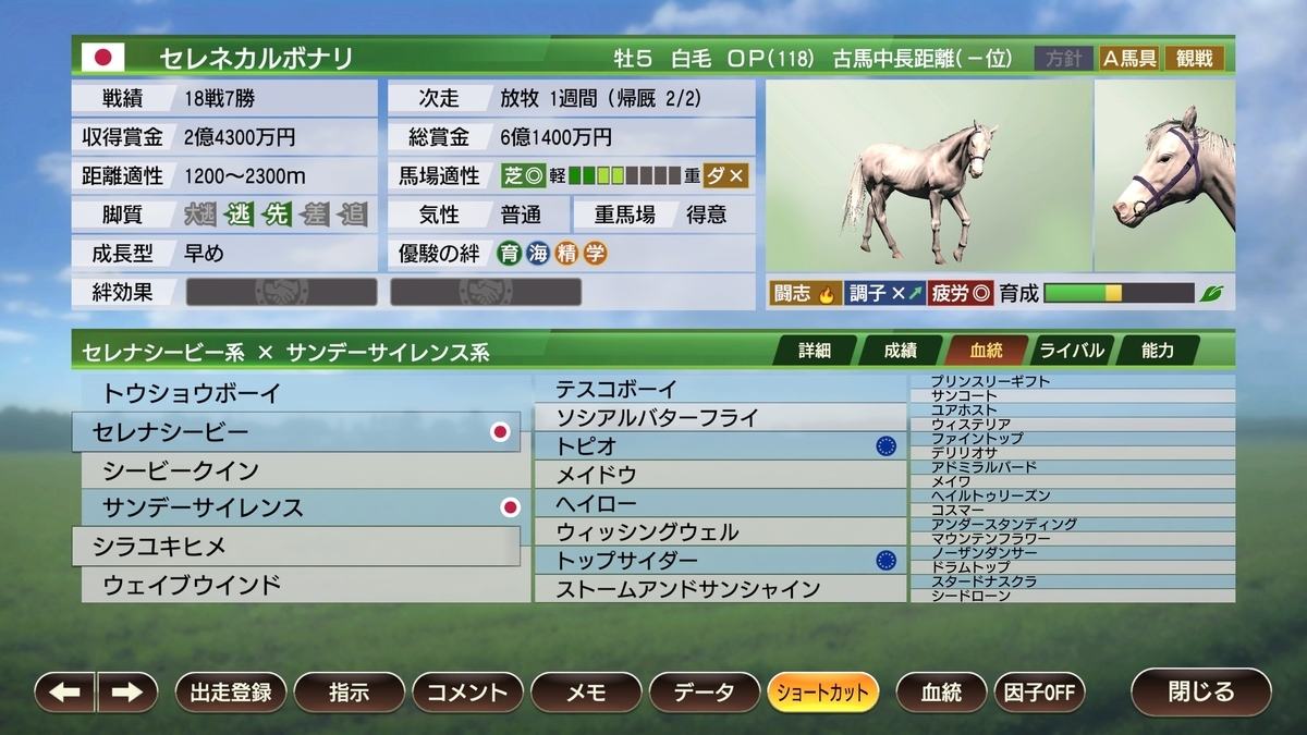 ウイニングポスト9 22 白毛で強いこ作りたいな 白馬物語 ゲームとお食事だけして生きたいな ウイニングポスト9 22 白毛で強いこ作りたいな 白馬物語 ゲームとお食事だけして生きたいな