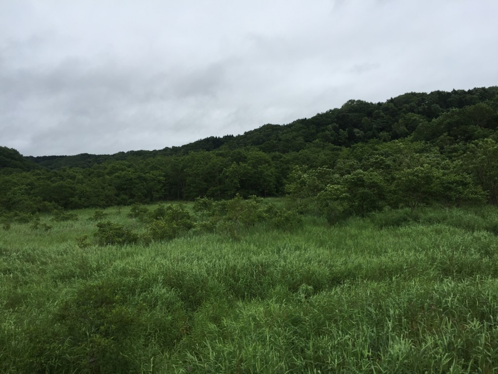 f:id:noanohakobune:20160809122617j:plain