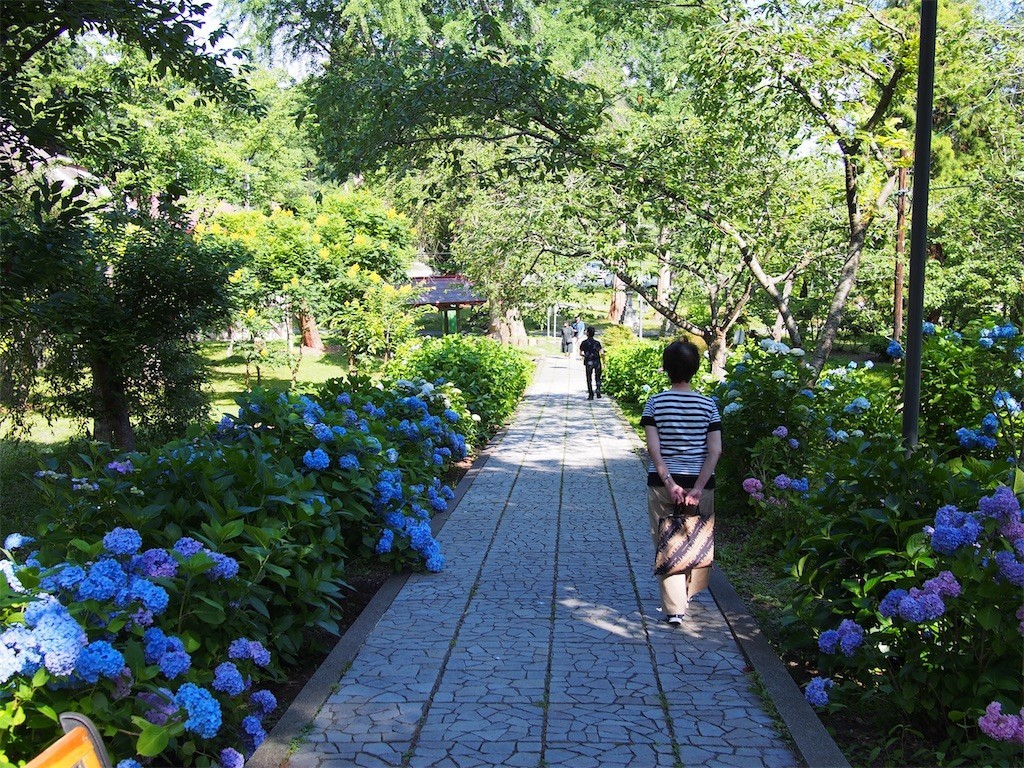 f:id:noanohakobune:20200919192542j:plain