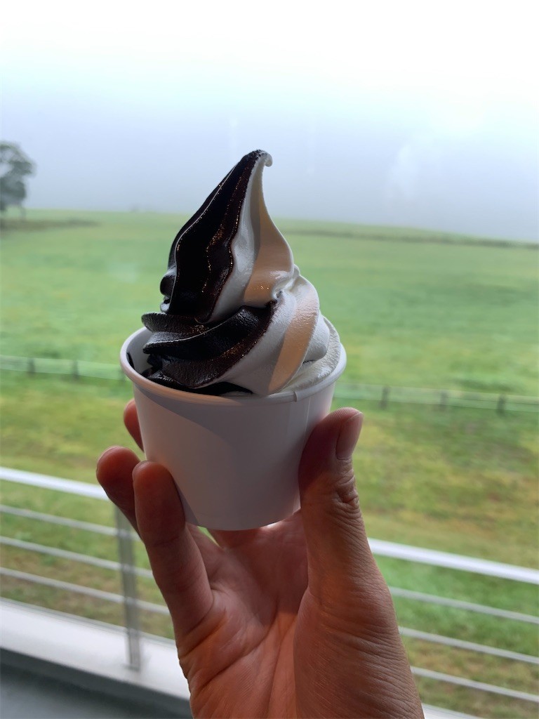 f:id:noanohakobune:20200920212131j:plain