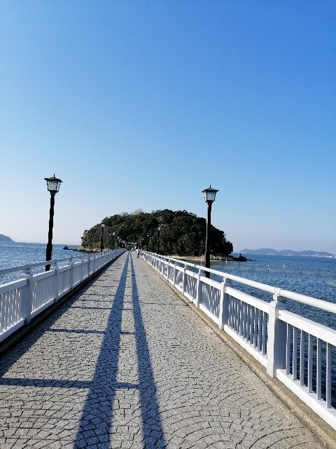 f:id:noanova:20190303085515j:image