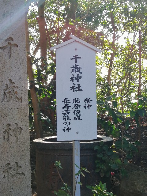 f:id:noanova:20190303085836j:image
