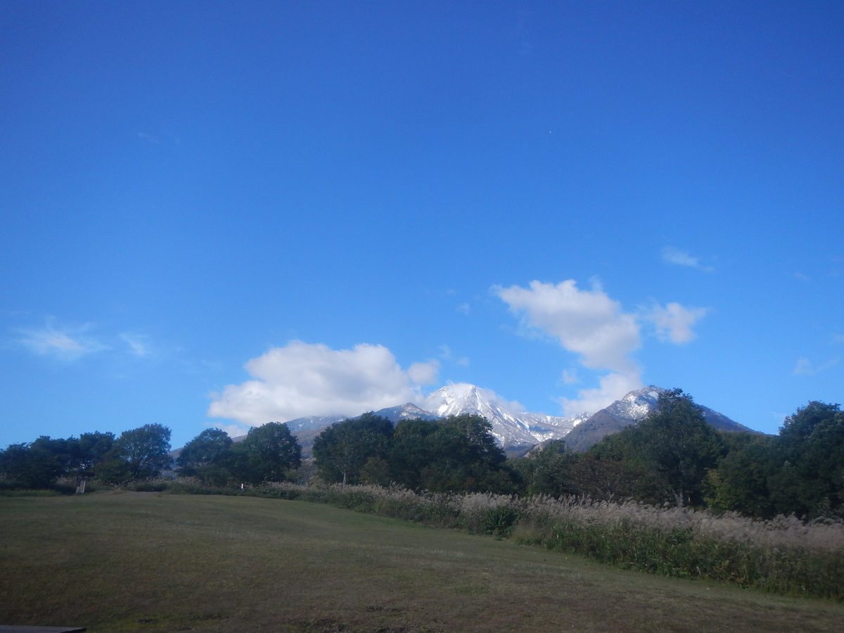 f:id:noasobioyako:20211031203123j:plain