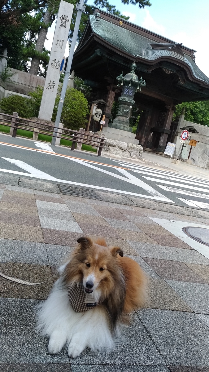 f:id:noaz-dog:20190813182811j:plain