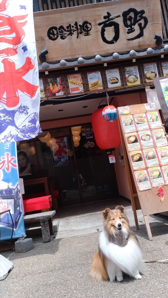 f:id:noaz-dog:20190813190534j:plain
