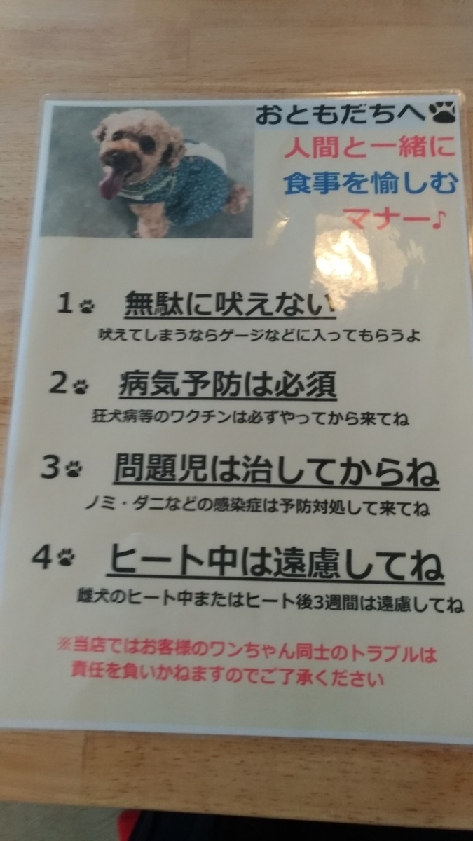 f:id:noaz-dog:20190920201923j:plain