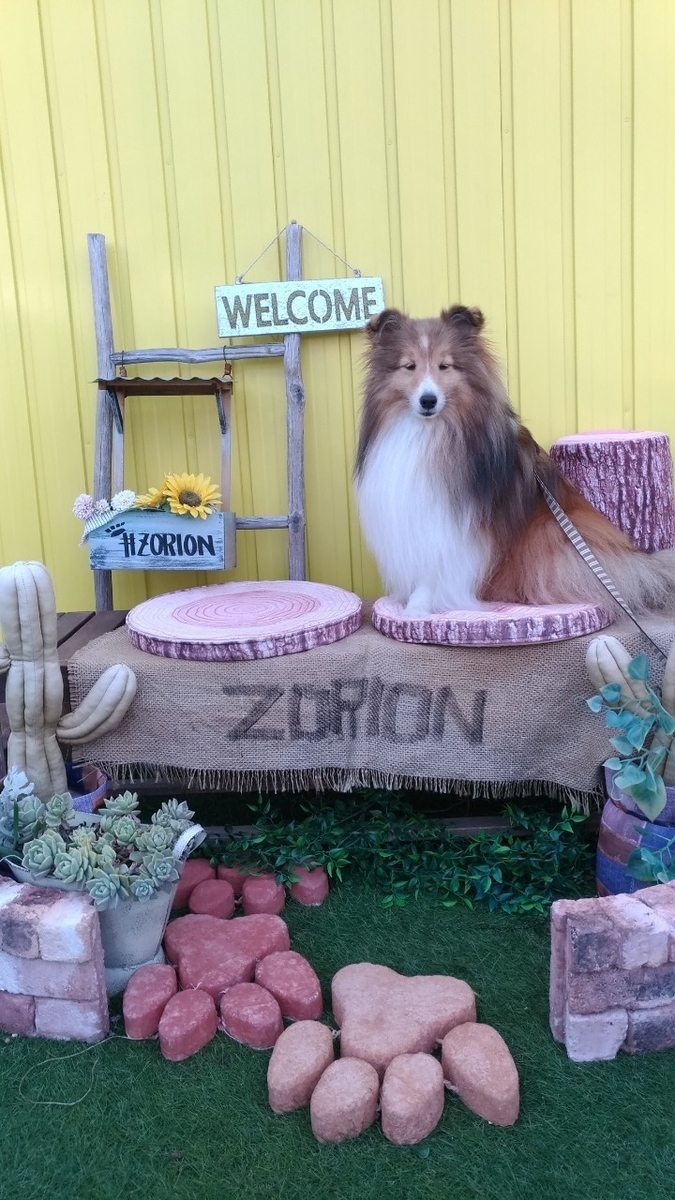 f:id:noaz-dog:20190920201936j:plain