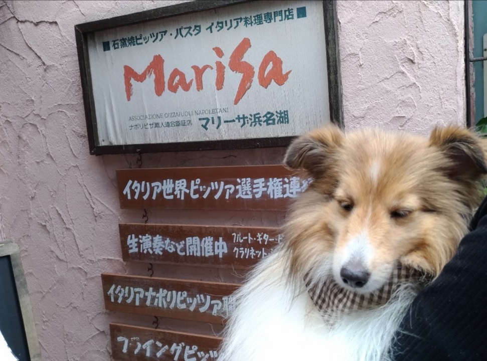 f:id:noaz-dog:20190923185108j:plain