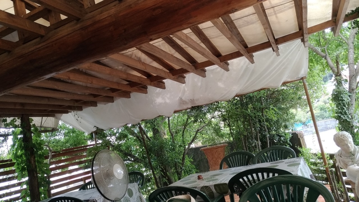f:id:noaz-dog:20190923185143j:plain